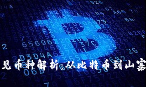 区块链中常见币种解析：从比特币到山寨币一网打尽