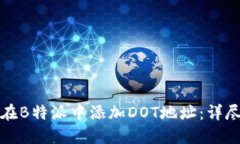 如何在B特派中添加DOT地址：详尽指南