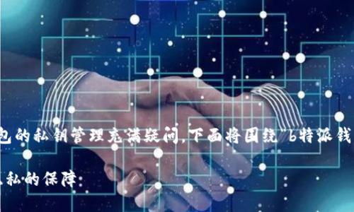 在市场上，许多用户对于数字货币钱包的私钥管理充满疑问。下面将围绕“b特派钱包有私钥吗”这个主题进行深入探讨。

b特派钱包私钥揭秘：安全性与用户隐私的保障