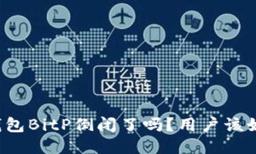 比特币钱包BitP倒闭了吗？用户该如何应对？