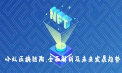  小蚁区块链陶：全面解析及未来发展趋势