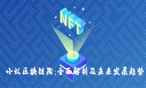  小蚁区块链陶：全面解析及未来发展趋势