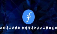 比特币与区块链：数字货币的未来与技术基础