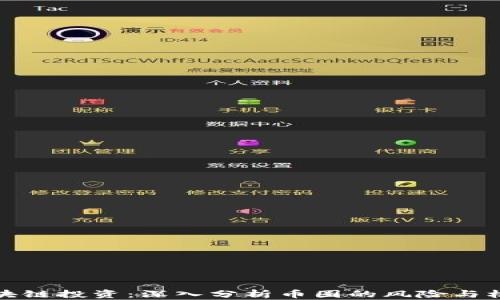 
区块链投资：深入分析币圈的风险与机遇