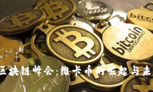 2017区块链峰会：维卡币的崛起与未来展望