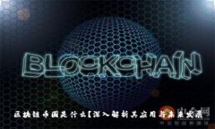 区块链币圈是什么？深入解析其应用与未来发展