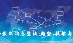 区块链工程师最新信息查询：趋势、技能与职业