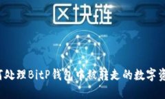 如何处理BitP钱包中被转走的数字资产？