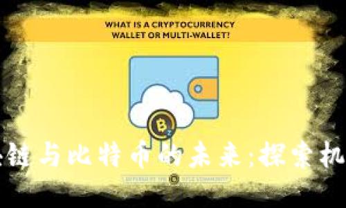 荷兰区块链与比特币的未来：探索机遇与挑战