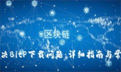 如何解决BitP下载问题：详细指南与常见问答