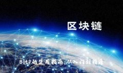 BitP的使用指南：从入门到精通
