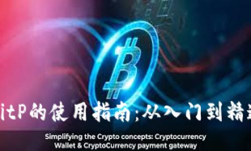 BitP的使用指南：从入门到精通