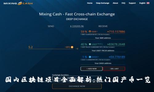 国内区块链项目全面解析：热门国产币一览