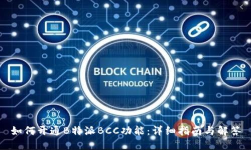 如何开通B特派BCC功能：详细指南与解答