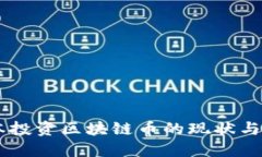 高瓴资本投资区块链币的现状与未来展望