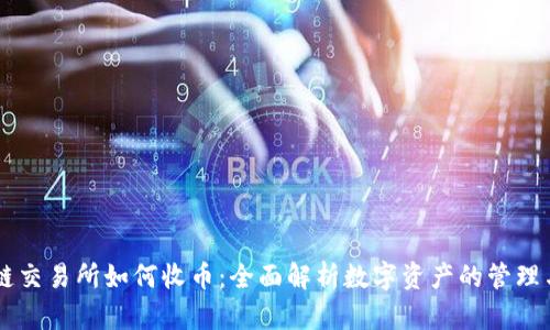 区块链交易所如何收币：全面解析数字资产的管理与交易