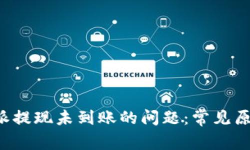 如何解决B特派提现未到账的问题：常见原因及解决方案