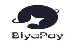BitP钱包iOS使用指南与常见问题解析