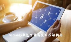 Bitkeep钱包下载与使用图解指南