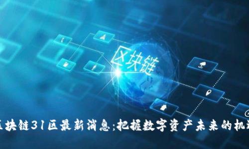 区块链31区最新消息：把握数字资产未来的机遇