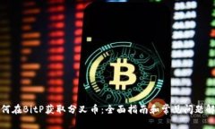 如何在BitP获取分叉币：全面指南和常见问题解答