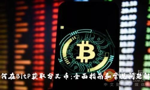 如何在BitP获取分叉币：全面指南和常见问题解答