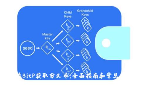 如何在BitP获取分叉币：全面指南和常见问题解答