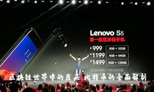 区块链世界中的巨头：比特币的全面解析