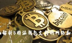 全面解析B特派钱包支持的网络和功能