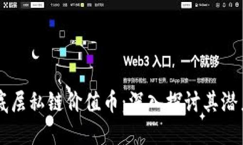 区块链底层私链价值币：深入探讨其潜力与应用
