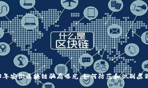 2023年安徽区块链骗局曝光：如何防范和识别虚假项目