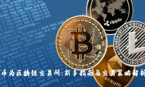 币为区块链交易所：新手指南与交易策略解析