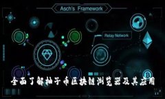全面了解柚子币区块链浏览器及其应用