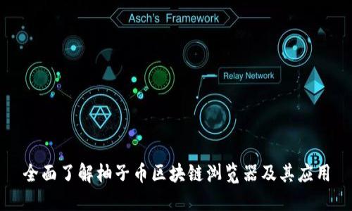 全面了解柚子币区块链浏览器及其应用