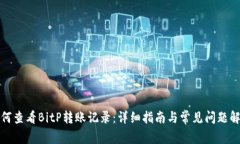 如何查看BitP转账记录：详细指南与常见问题解答
