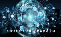 BitPie是什么公司？背景与发展介绍