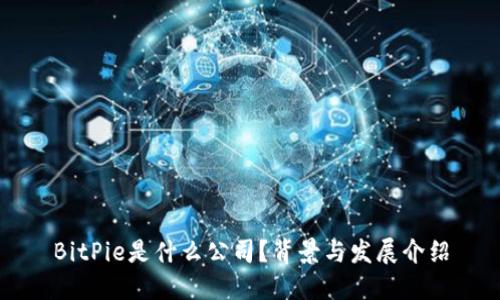 BitPie是什么公司？背景与发展介绍