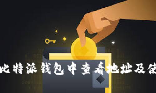 如何在比特派钱包中查看地址及使用指南