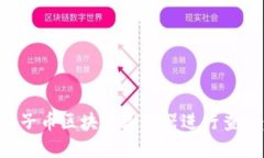 如何使用柚子币区块链浏览器进行查询：完全指