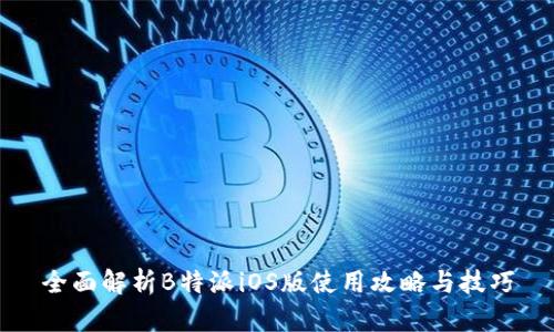 全面解析B特派iOS版使用攻略与技巧