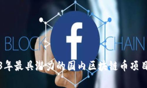 2023年最具潜力的国内区块链币项目解析