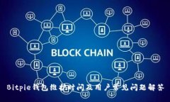 Bitpie钱包维护时间及用户常见问题解答