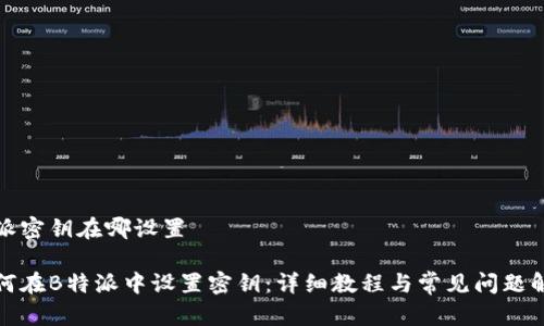 特派密钥在哪设置

如何在B特派中设置密钥：详细教程与常见问题解答