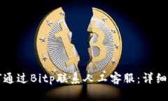 如何通过Bitp联系人工客服：详细指南