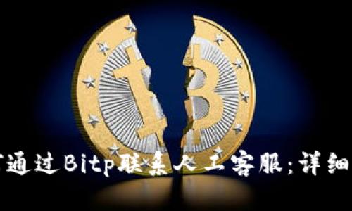 如何通过Bitp联系人工客服：详细指南