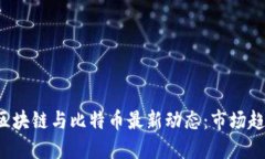 2023年美国区块链与比特币最新动态：市场趋势与