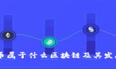 Doge币属于什么区块链及其发展历程