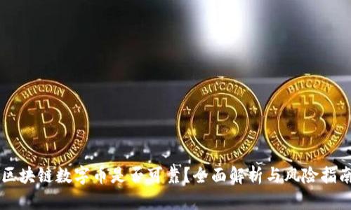 区块链数字币是否可靠？全面解析与风险指南