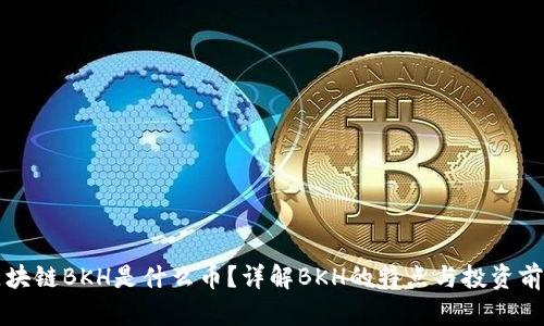 区块链BKH是什么币？详解BKH的特点与投资前景