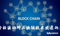比特币价格波动对区块链技术发展的影响分析